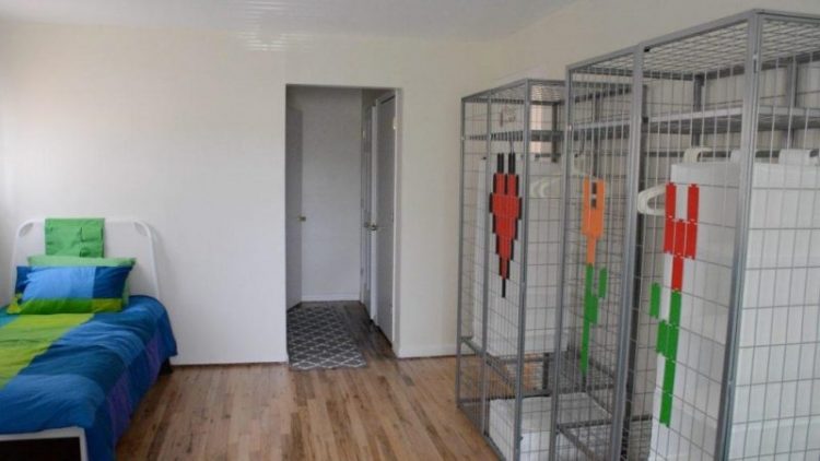 Picture of Hope For Youth » Runaway & Homeless Youth Shelter Program